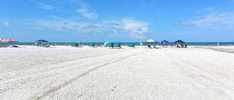 بالقرب من الشاطئ