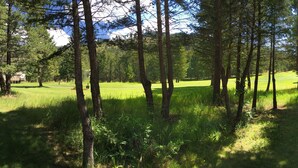 Un terrain de golf entouré de grands arbres et bordé d’une rangée de maisons.