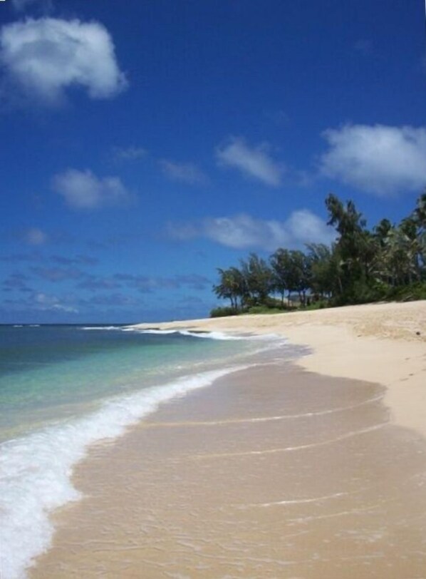 Ranta lähistöllä, rantapyyhkeitä