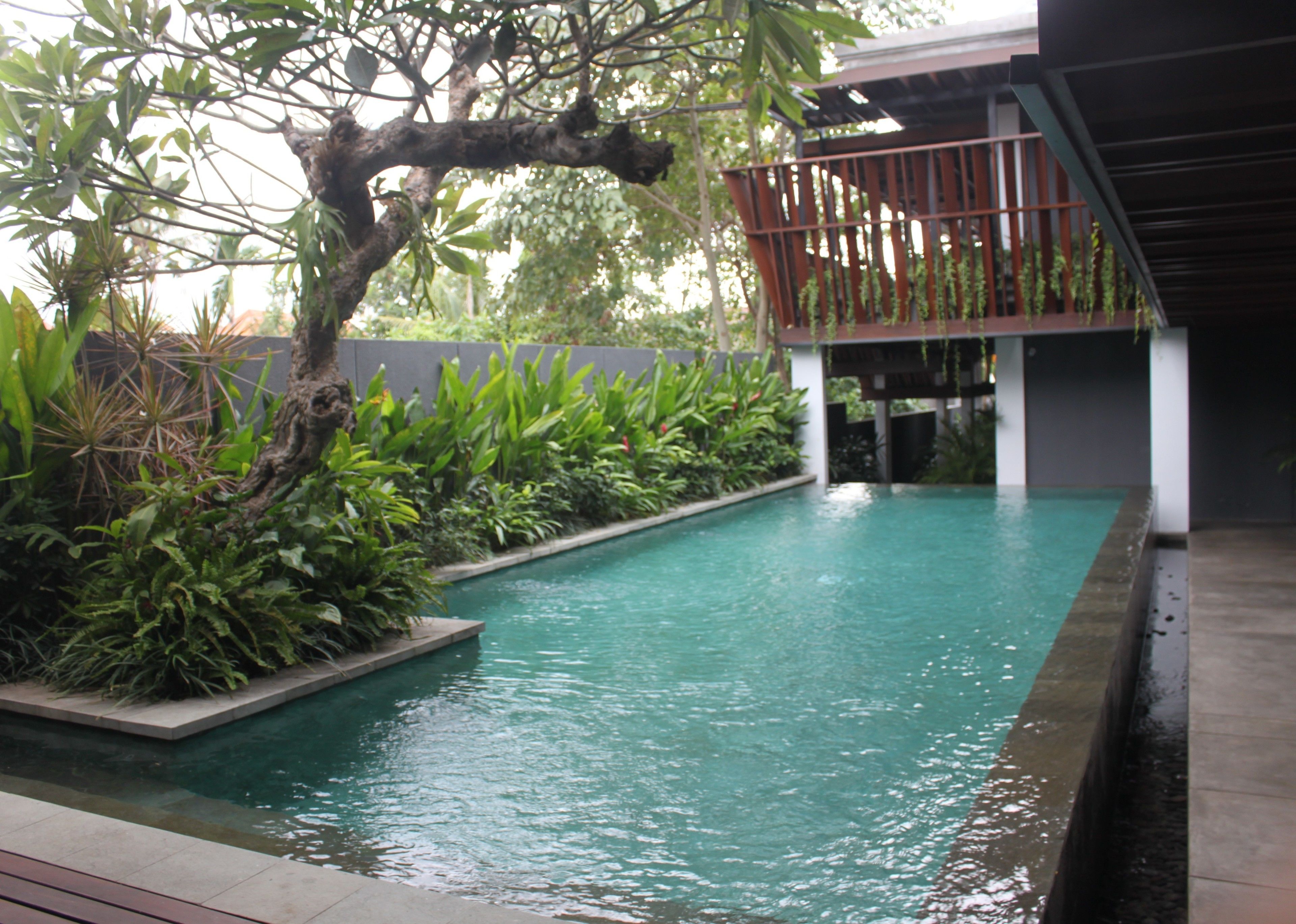 Une piscine entourée d’une terrasse en bois et d’une végétation luxuriante.