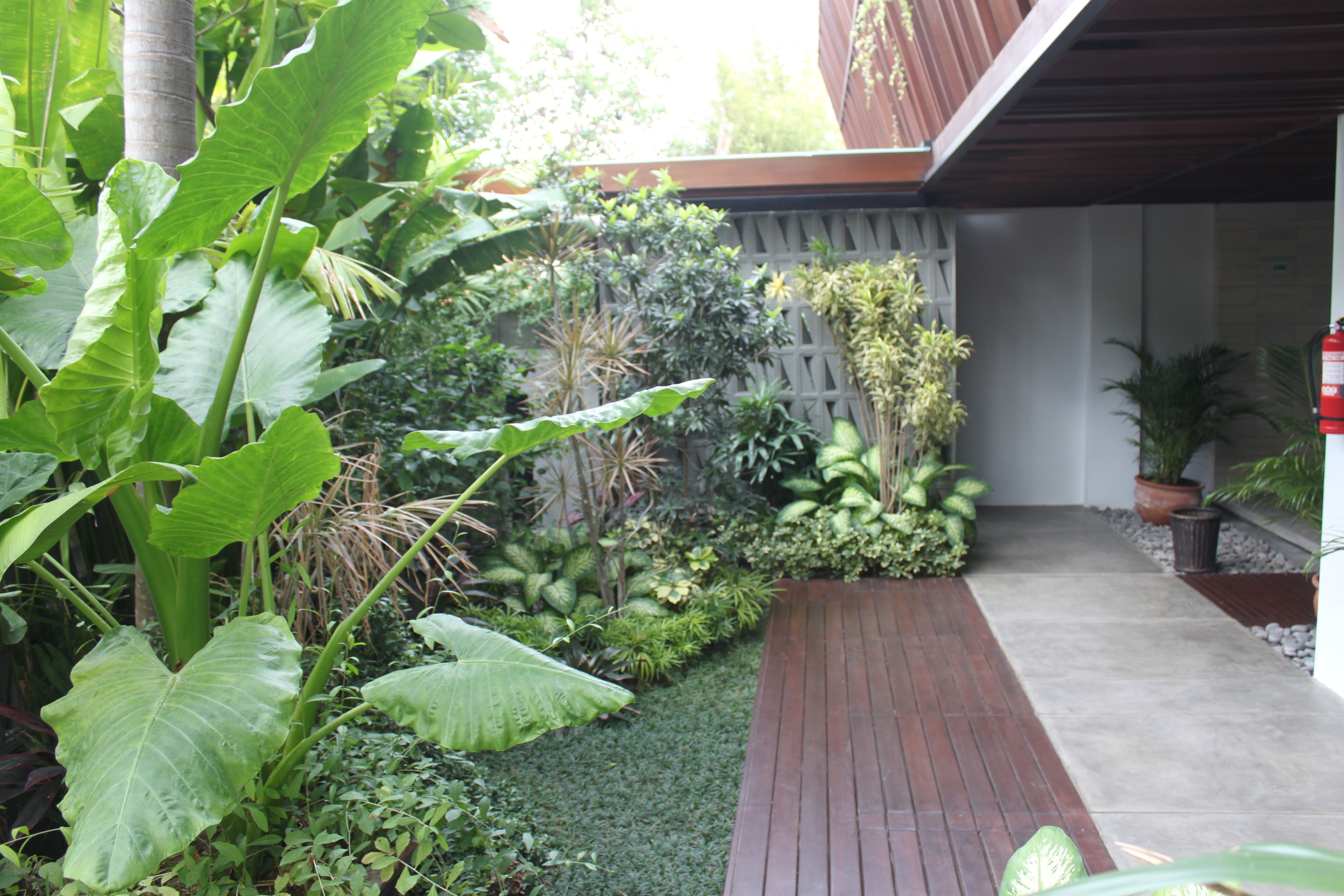 Un jardin doté d’une terrasse en bois, d’une végétation luxuriante et d’une clôture blanche.