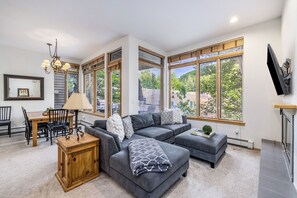 Smart TV, fireplace, DVD player, books