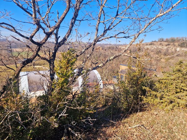 A rural landscape with a clear sky, leafless trees, and a few buildings in the distance. - Les Gouttes D'eau (Labastide-de-Penne)