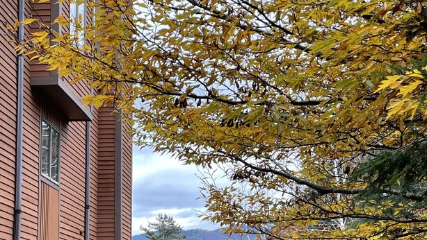 A building with a brick exterior and a paved driveway. - NordicVillageRESORT life@Storyland, very close to Attitash/Wildcat/Cranmore etc (Jackson)