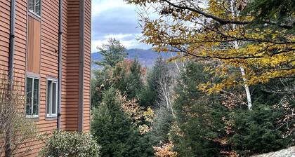 NordicVillageRESORT life@Storyland, very close to Attitash/Wildcat/Cranmore etc
