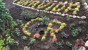 A garden with various plants and rocks arranged in patterns. - Cuando el lujo y la comodidad estan rodeados de naturaleza (Los Angeles)