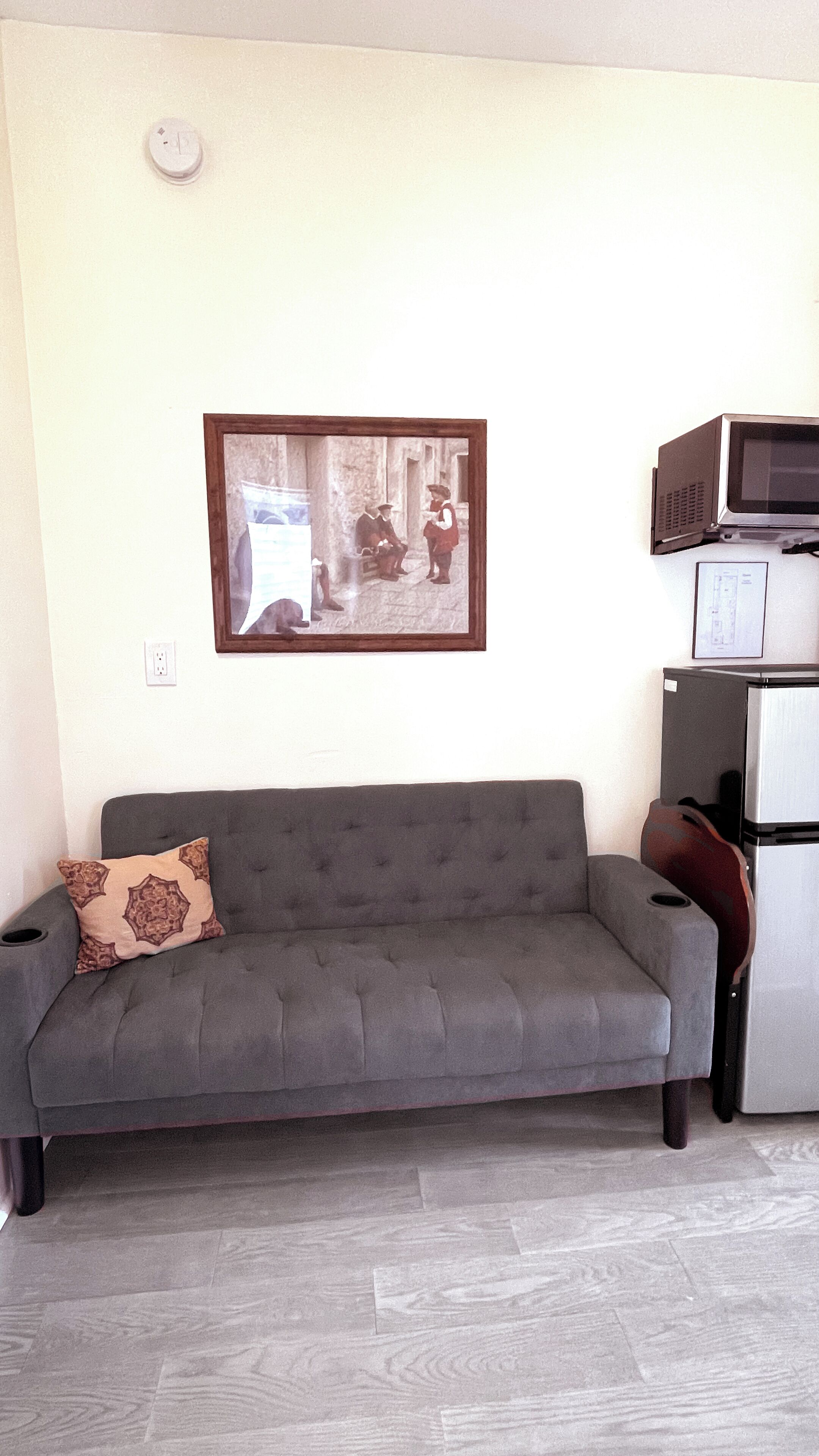 A living room with a grey sofa, a framed picture on the wall, a microwave, and a refrigerator.