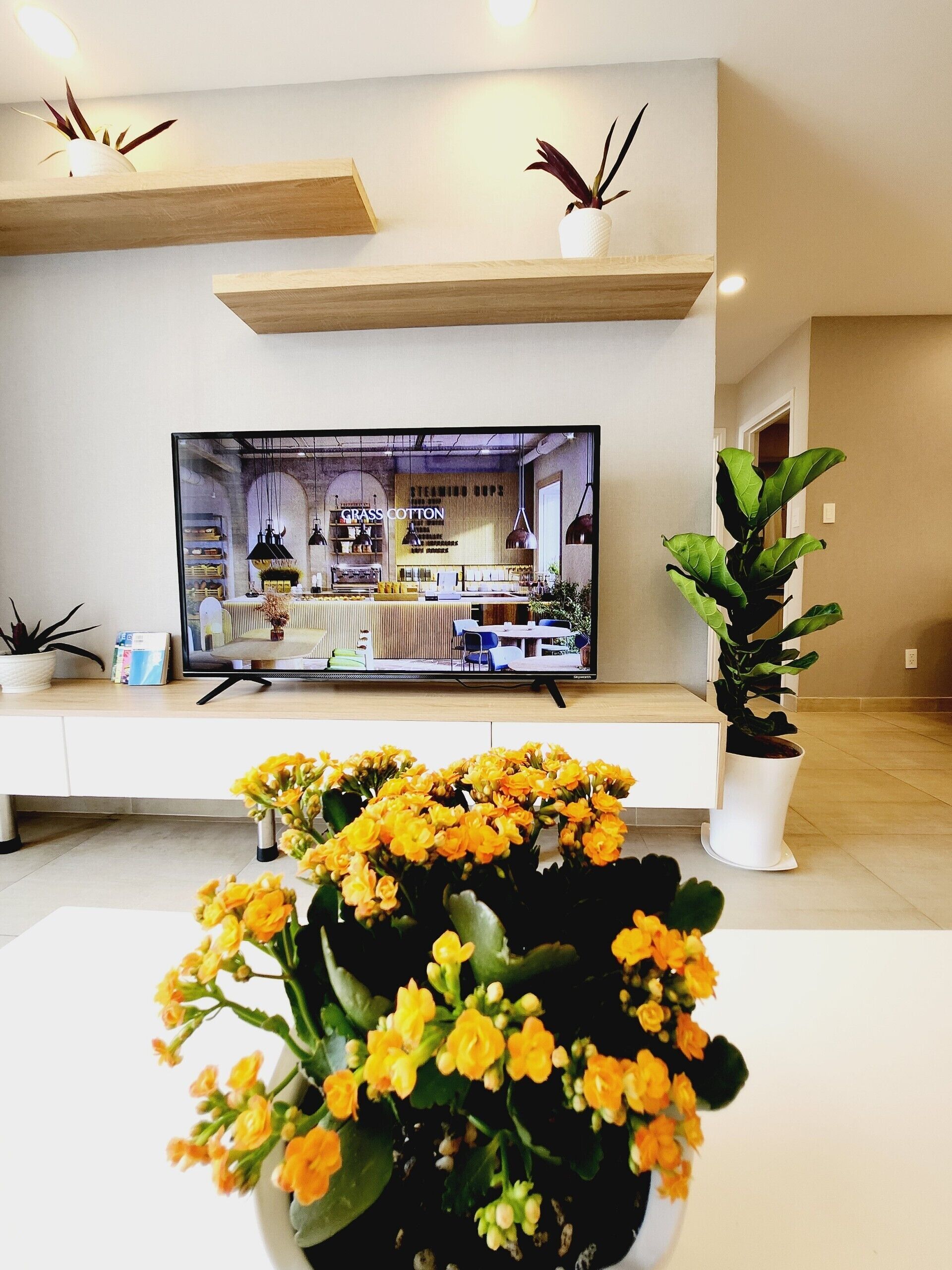 Design Apartment | Living area | 54-inch flat-screen TV with cable channels, TV