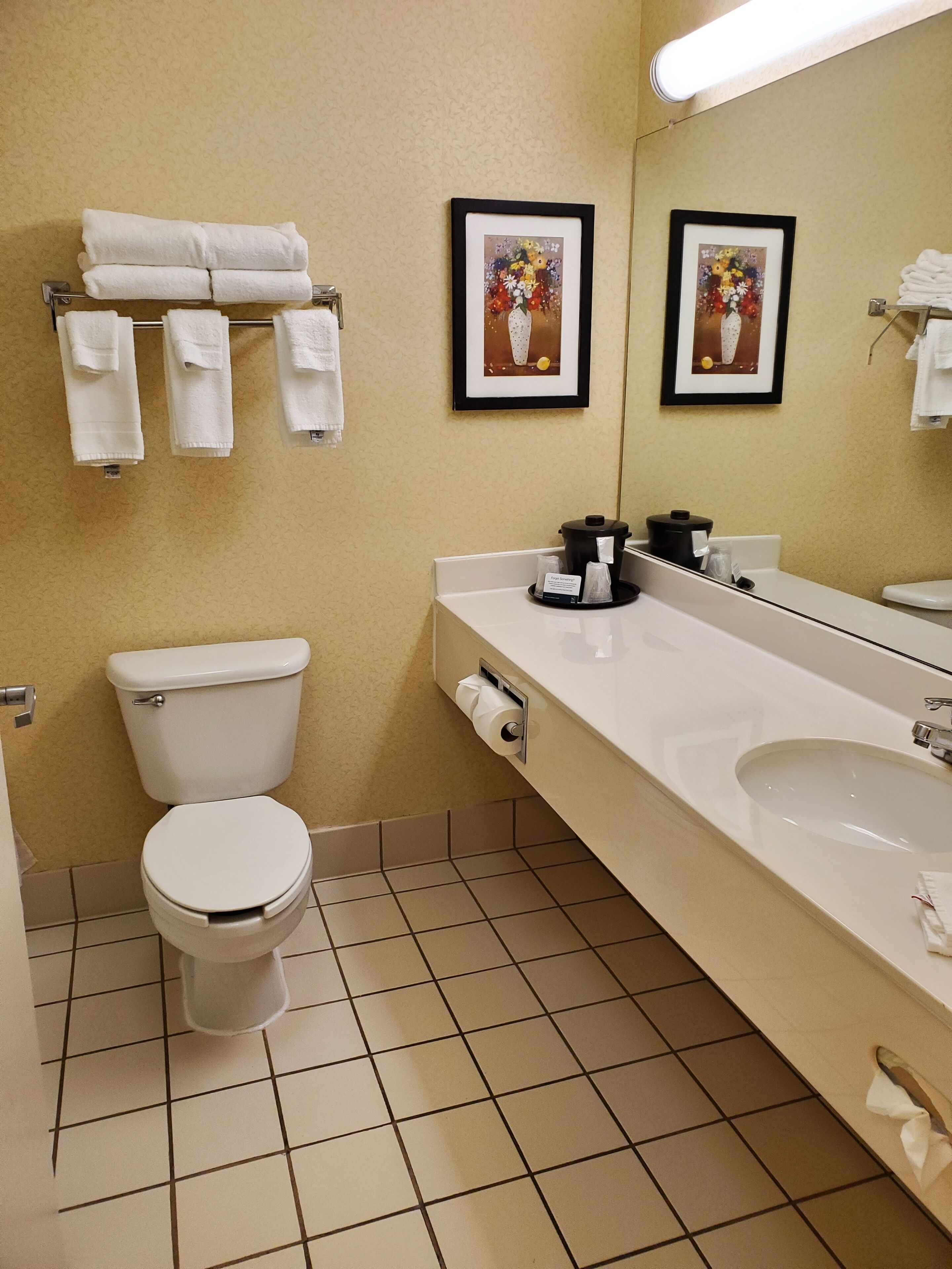 Hair dryer, towels