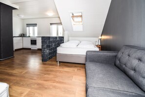 Studio | Desk, blackout curtains, free WiFi, bed sheets - Guesthouse Andrea (Reykjavik)