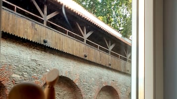 Exclusive Apartment, 1 King Bed, Non Smoking | View from room