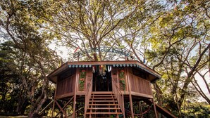 Una casa en el árbol de madera con una escalera que sube a una plataforma, rodeada de árboles.