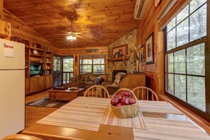 TV, fireplace, DVD player