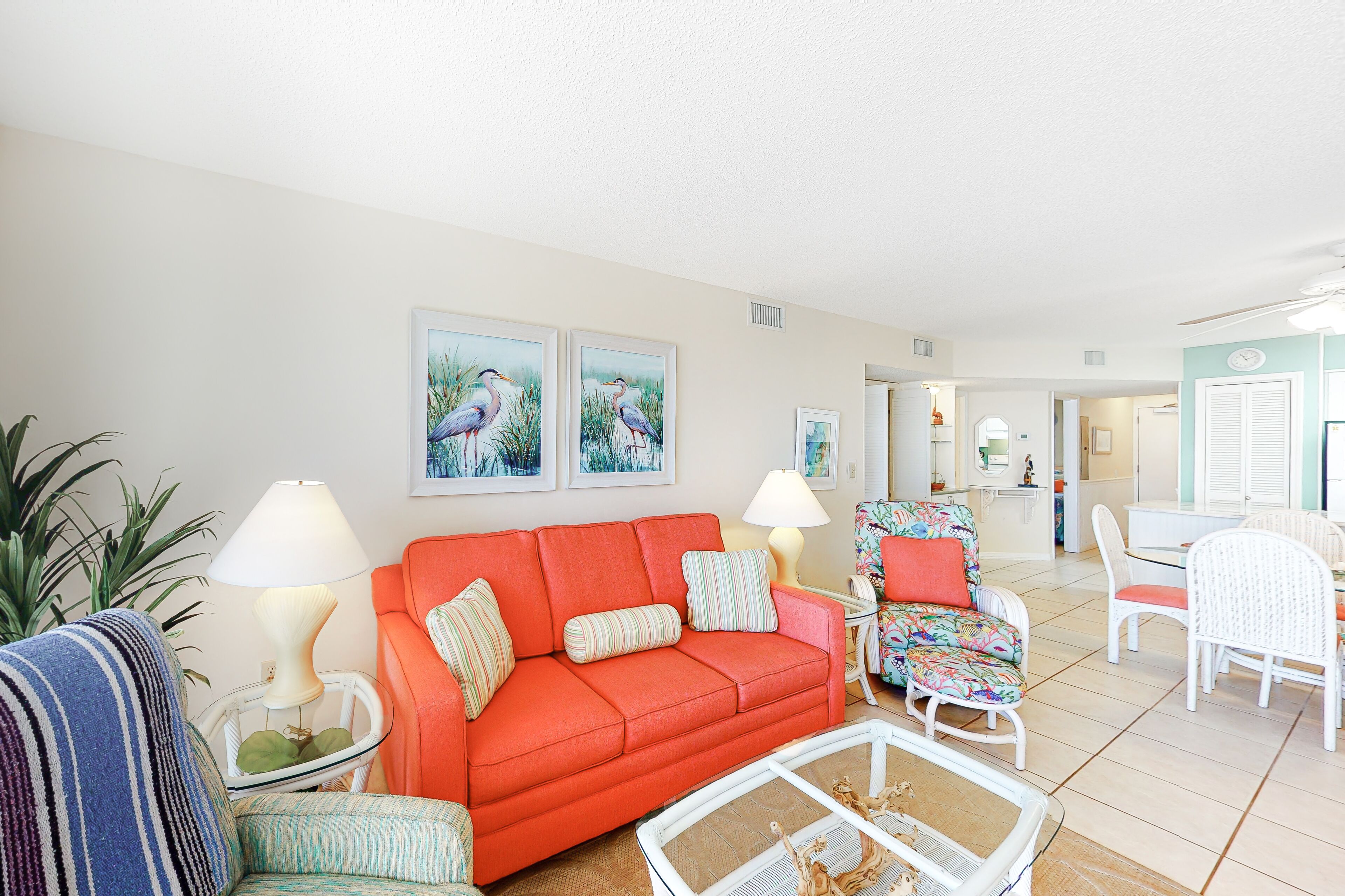 TV, DVD player, books