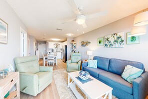 电视、DVD 播放器、书