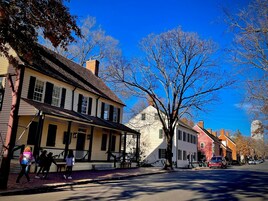 Una calle con edificios históricos, una acera bordeada de árboles y automóviles estacionados.