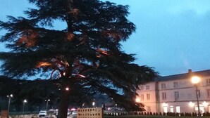 Front of property - evening/night - Cluny Séjour (Cluny)