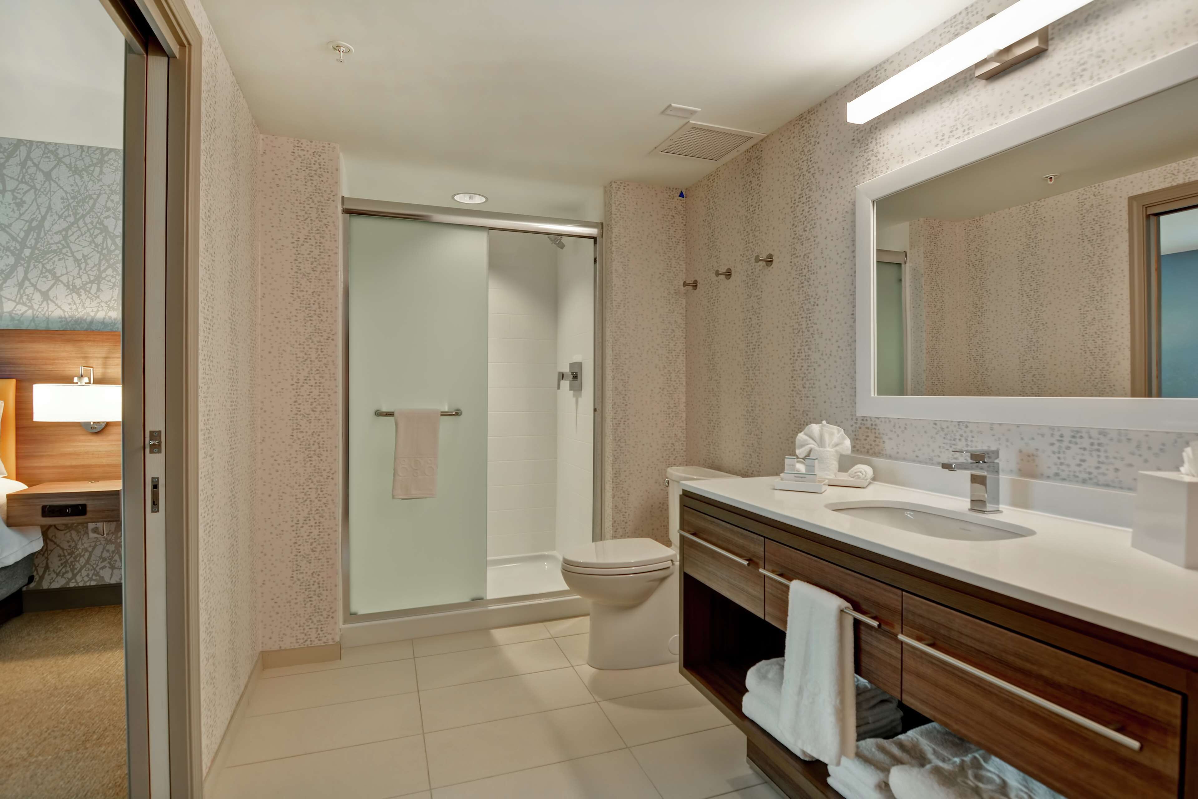 A modern bathroom with a shower, toilet, and vanity with a mirror.