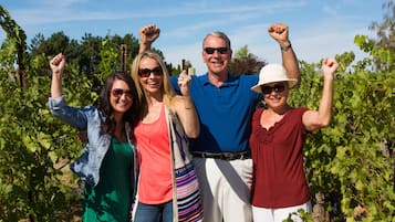 A group of people in a vineyard with rows of grapevines.