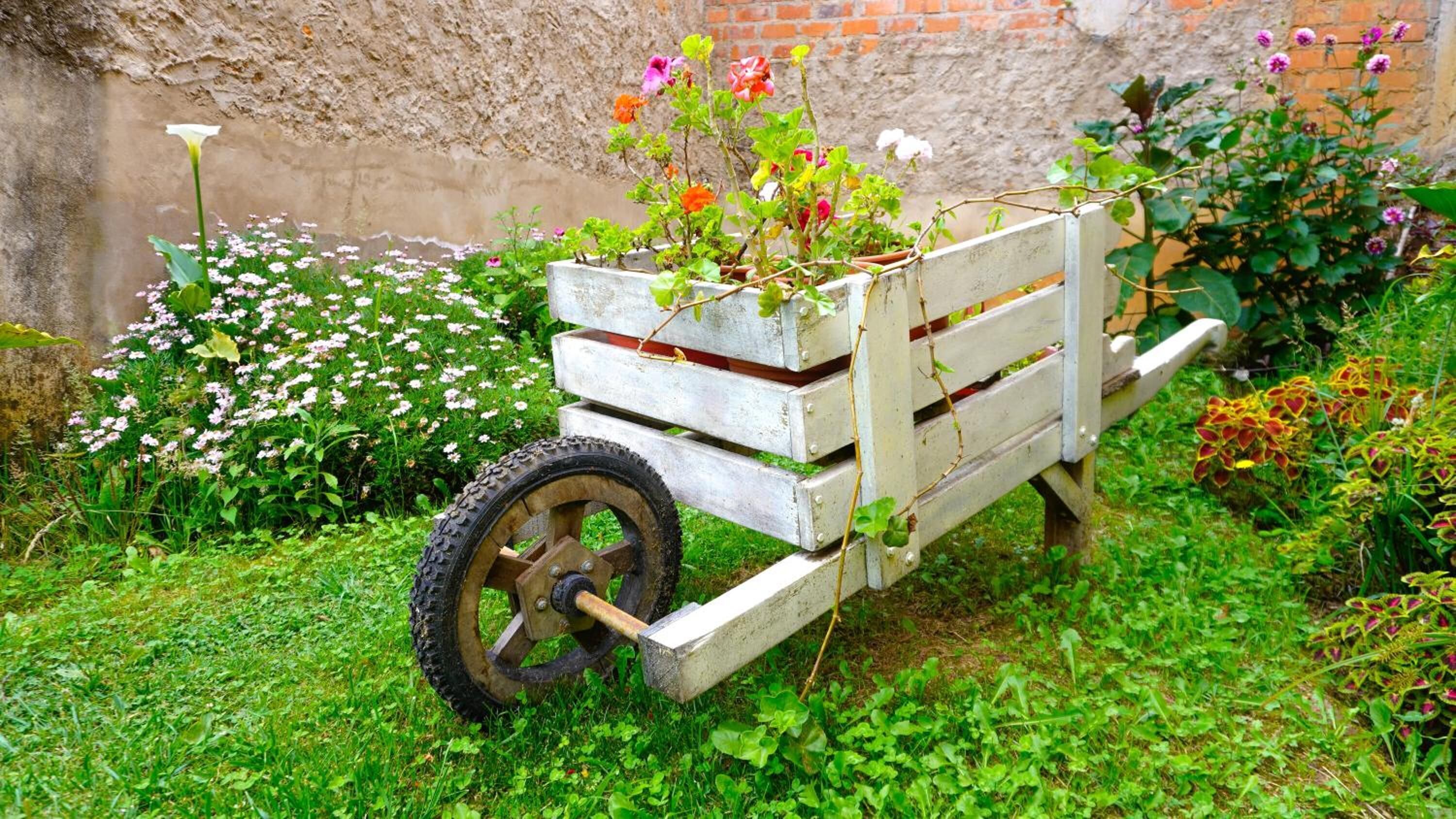 Foto - Casa Kuelap Hostal