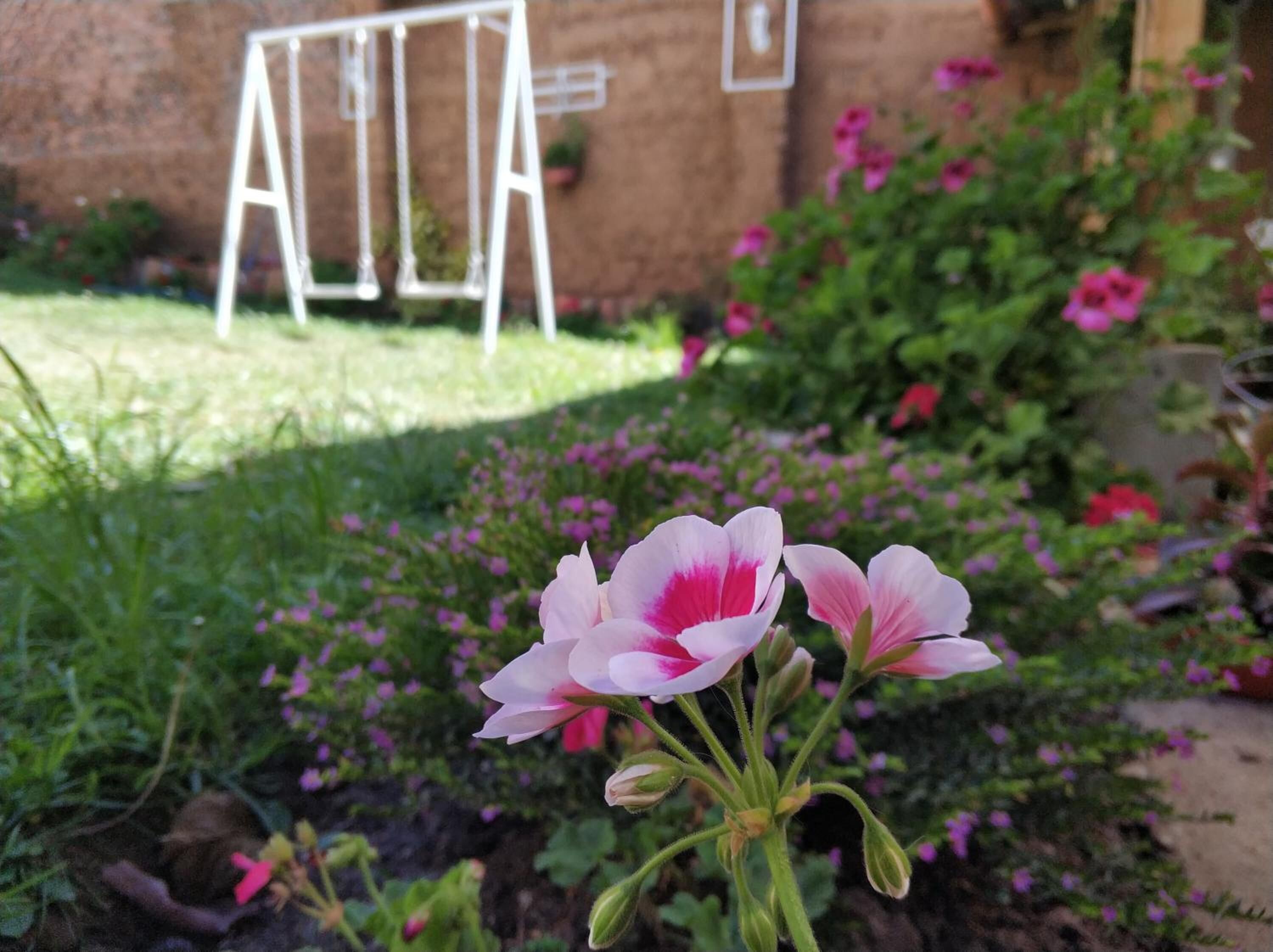 Foto - Casa Kuelap Hostal