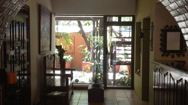 Un intérieur doté d’un sol carrelé, d’une grande plante en pot et d’une vue sur un espace extérieur verdoyant, visible à travers une porte vitrée.