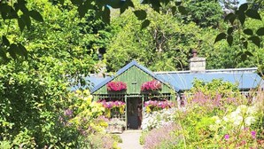 A pathway leading to a green-roofed structure surrounded by lush greenery and flowering plants. - Applecross B&B and Cabins (Strathcarron)