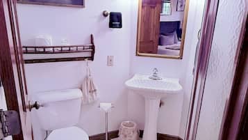 A bathroom with a toilet, sink, and mirror.