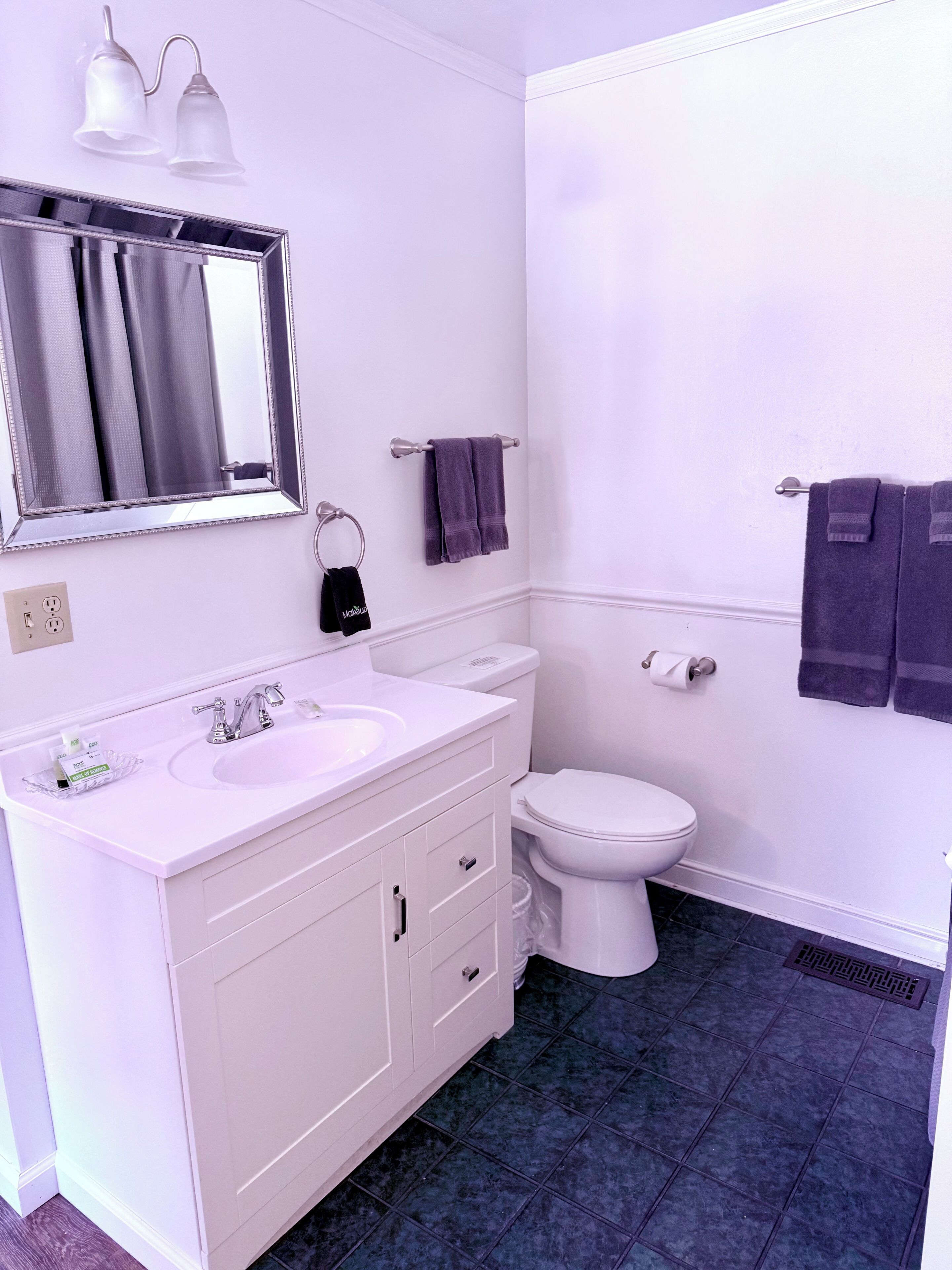 A bathroom with a white vanity, a mirror, a toilet, and a towel rack.
