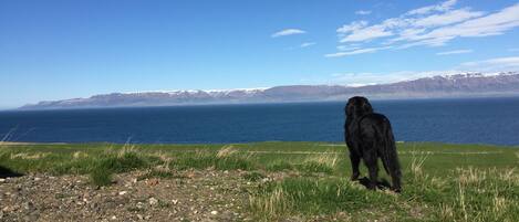 Uitzicht op strand/zee