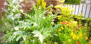 Jardin