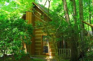 Exterior - Creek Fever Creek Views (Cosby)