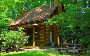 Exterior - Creek Fever Creek Views (Cosby)