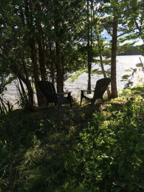 Property grounds - Camp Mitigwa Rental (Rangeley)