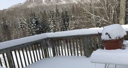 Mountain View Apartment