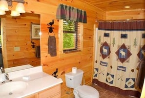 Separate tub and shower - Changes in Latitude (Sevierville)