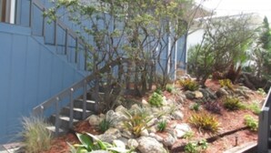 Exterior - Serenity by the Sea - 4 Bedroom 4 Bath - Oceanfront Pool Home (Ponce Inlet)