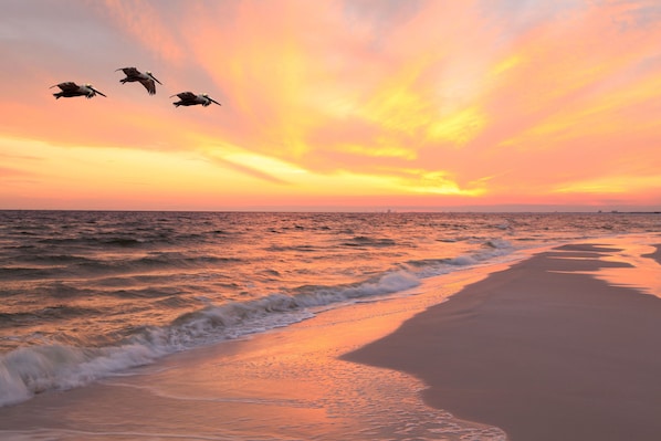Una playa cerca