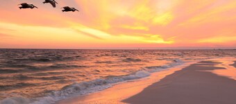 🐾 Madeira Bay Resort #201 – Accessible, Pet-Friendly Comfort Near the Beach