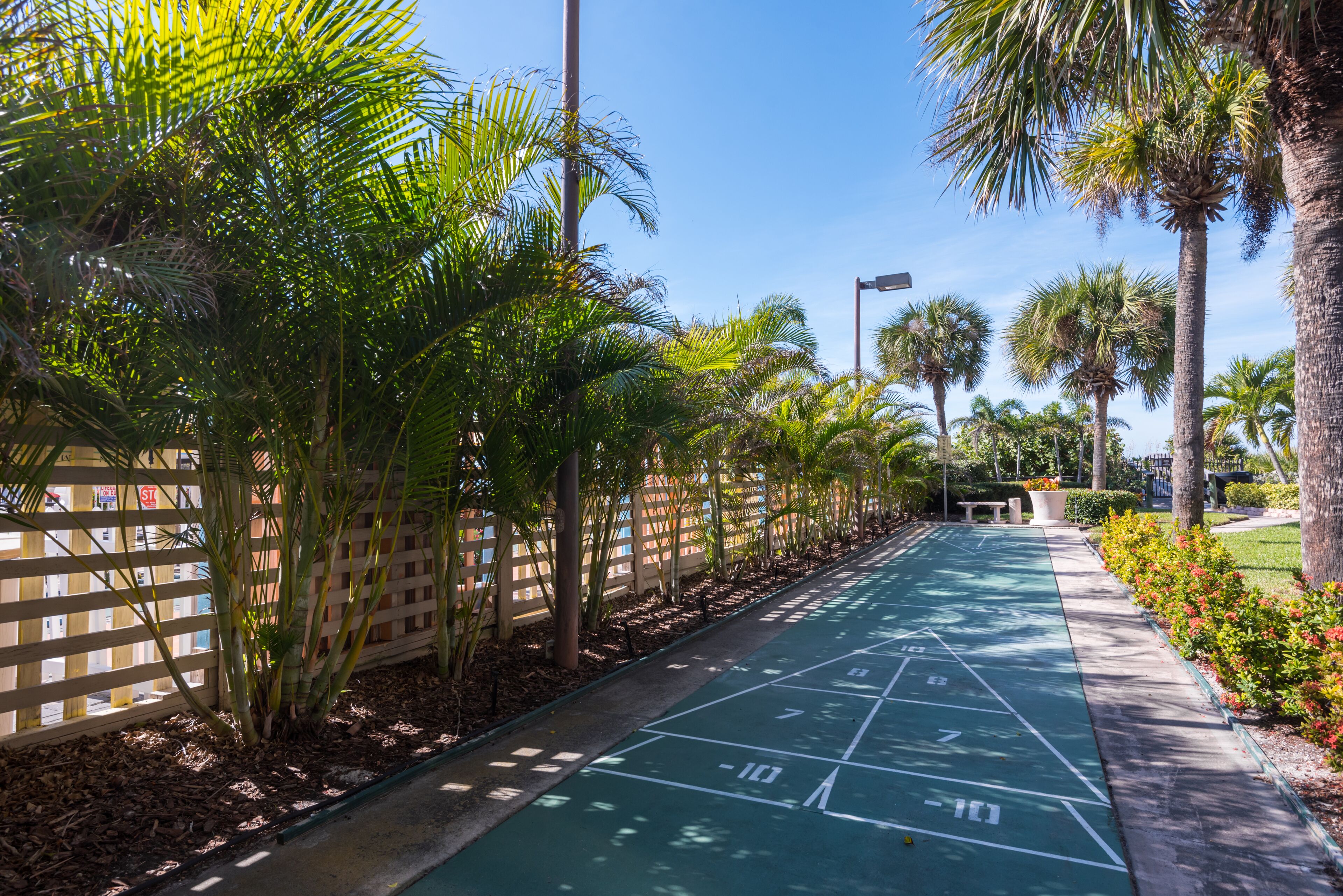 Una cancha de shuffleboard verde rodeada de palmeras y una valla de madera.