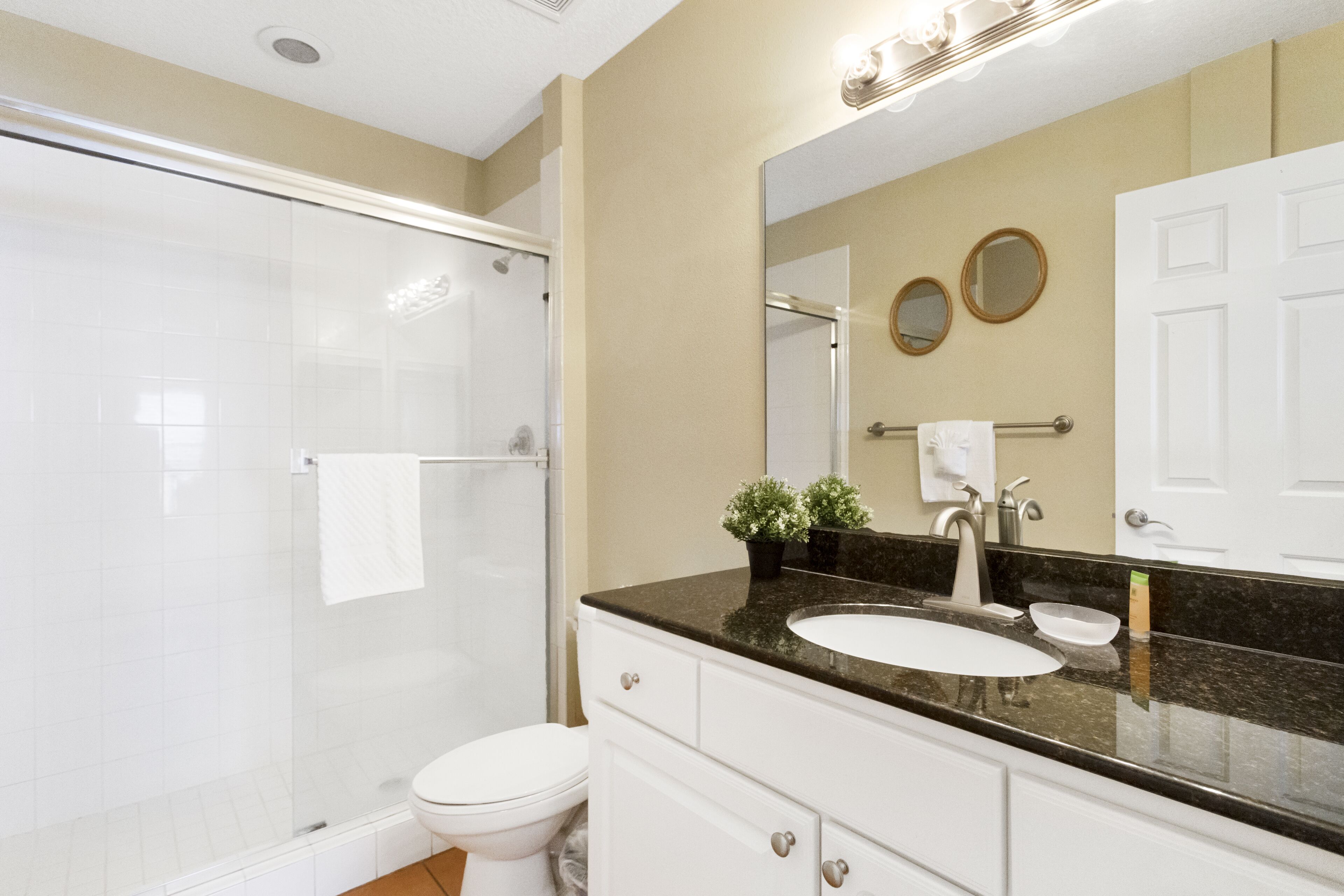 A modern bathroom with a glass-enclosed shower, a white toilet, a sink with a black countertop, and a mirror above the sink.