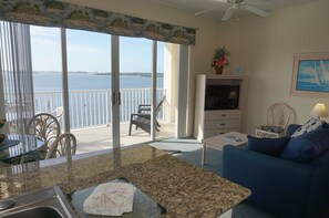 Televisio, DVD-soitin