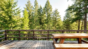 Una terraza de madera con mesas de picnic que da a un bosque.