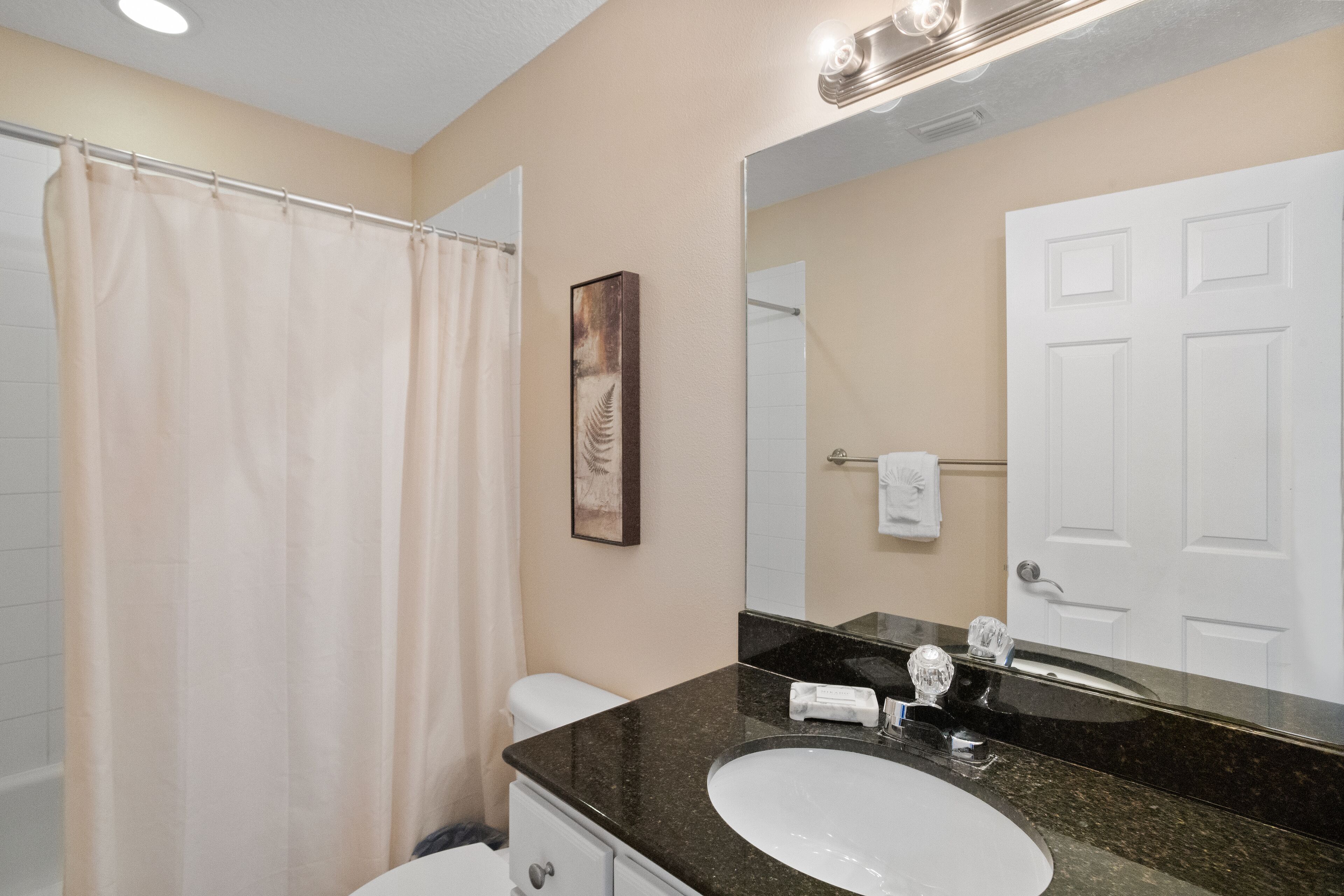 Un baño con cortina de ducha, lavabo, espejo y puerta.
