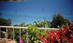 Property grounds - Comfortable villa with infinity pool and panoramic sea view (Le Lavandou)