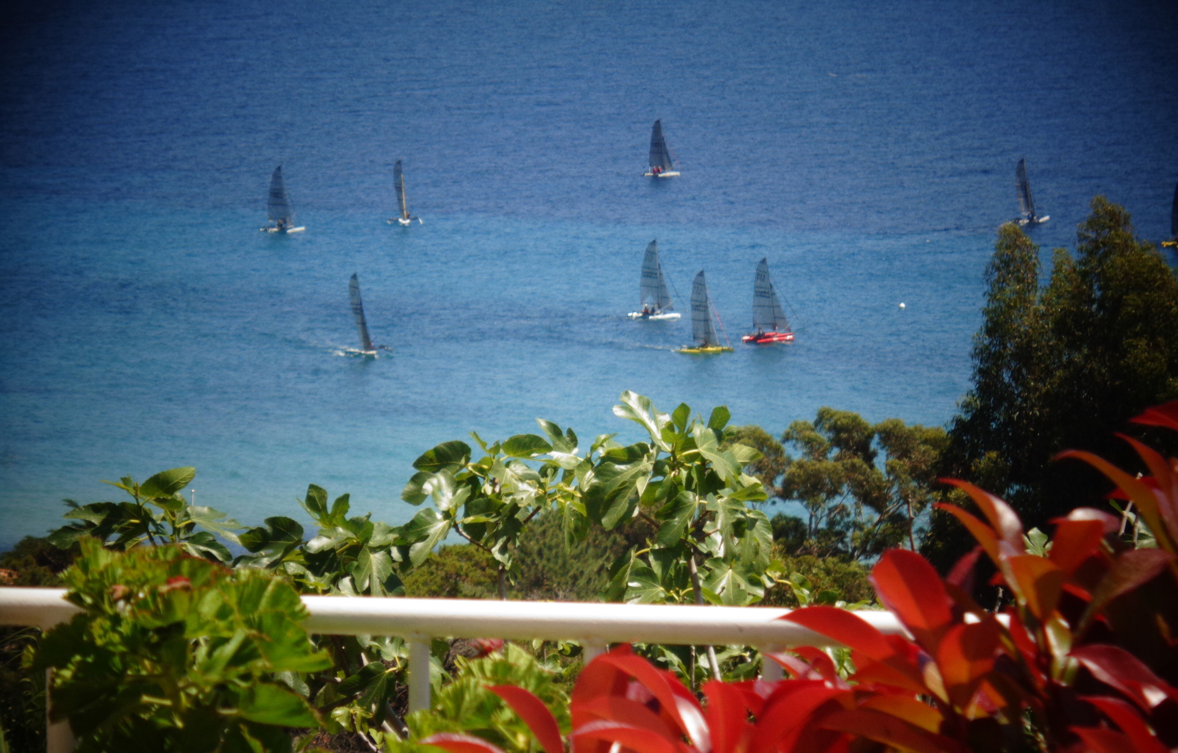 A coastal view with sailboats on the water, surrounded by greenery and a white railing.