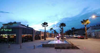 Rental Apartment Marseillan beach 4-5 persons, seaside.