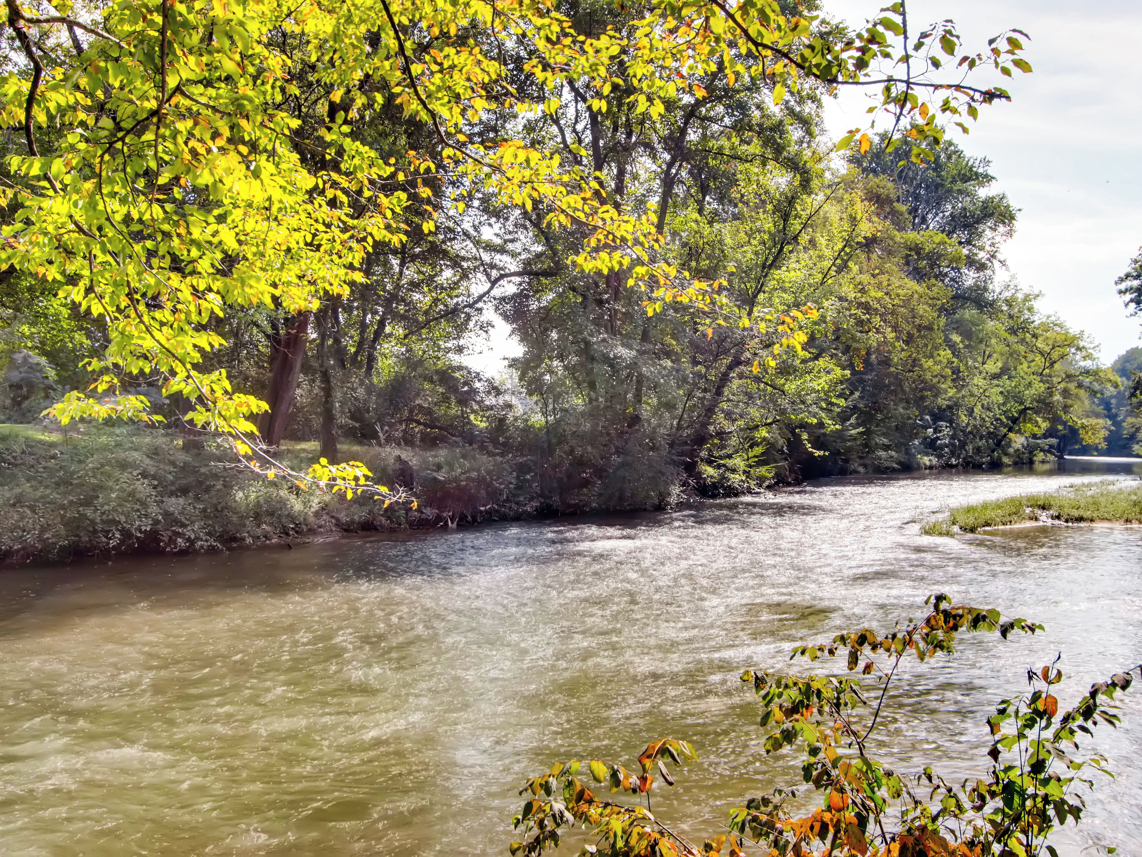 A river flowing through a forested area with dense foliage and trees.