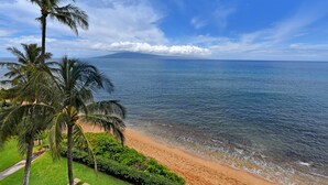 Une plage bordée de palmiers, offrant une vue dégagée sur l’océan.