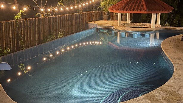A swimming pool with a tiled deck, surrounded by a wooden fence and palm trees.